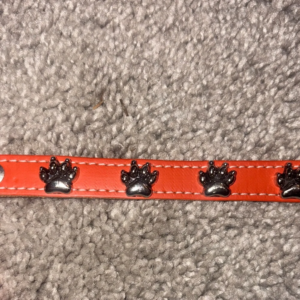 New Orange Dog Collar with Paw Charms leather size 10 inches